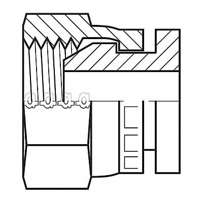 Hose Adapter 1/4 BSPP