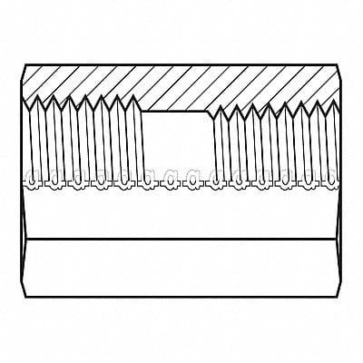 Hose Adapter 1/8 BSPT 1/8 NPT