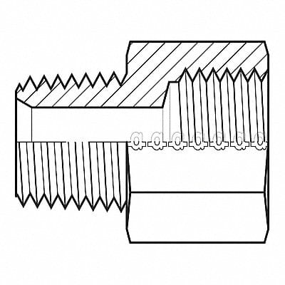 Hose Adapter 1/8 NPT 1/8 BSPP