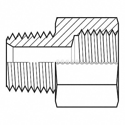 Hose Adapter 1/8 NPT 10 mm