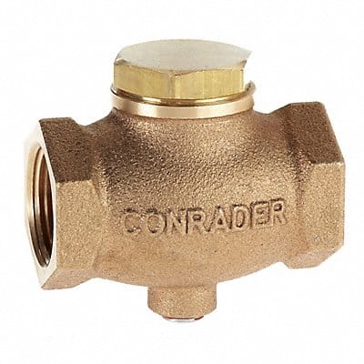 Check Valve 0 to 220 CFM 2 (F)NPT