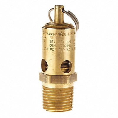 Air Safety Valve 1/2 (M) NPT Inlet