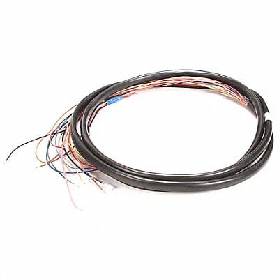 Freezer Wire Harness