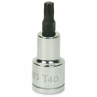 Torx Bit Socket 1/2 D T55