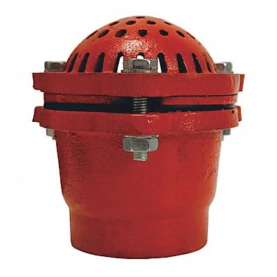 Cast Iron Threaded Foot Valve 3