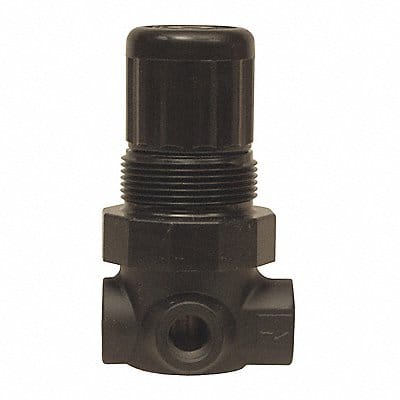 Series 1-Miniature Regulator 1/4