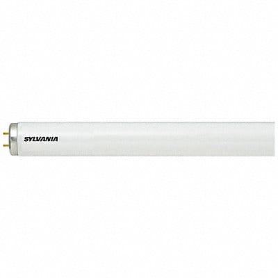 Linear Fluorescent Bulb 40W 5000K