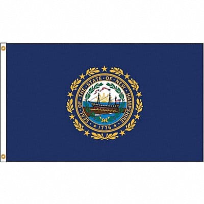 D3771 New Hampshire Flag 4x6 Ft Nylon