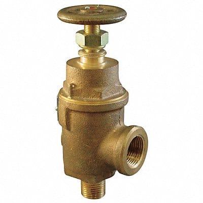 Adjustable Relief Valve 2 In 100 psi