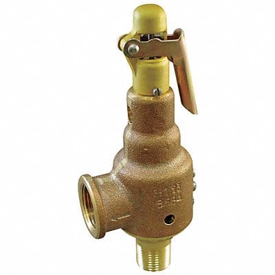 D4476 Safety Relief Valve 1/2 x 3/4 In 100 psi