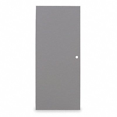 D3537 Flush Steel Door Type 1 80 x 48 In