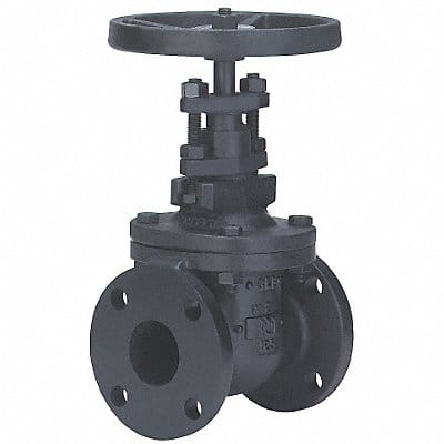 Gate Valve Class 125 6 in Flange