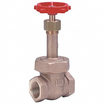 Gate Valve Class 300 1-1/4 In.