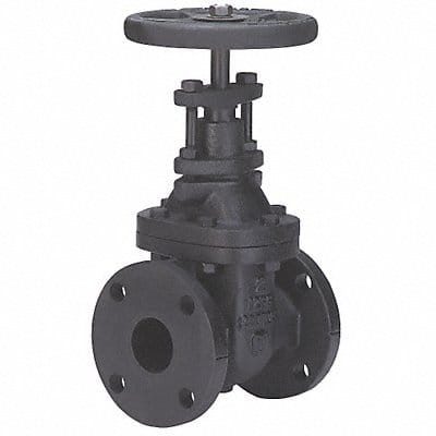 Gate Valve Class 125 8 In.