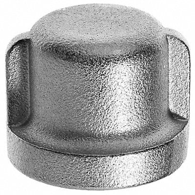 Round Cap 316 SS 1/4 F BSPT Class 150