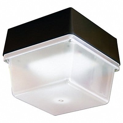 Indoor/Outdoor LED Luminaire 5000K