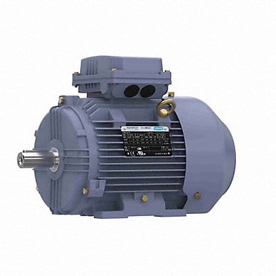 IEC Motor 3 HP 230/460V AC