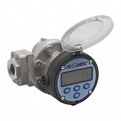 Electronic Flowmeter 1 FNPT 4.1 L