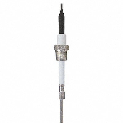 Liquid Probe 12 In 1/2 NPT 10 Ft Cable