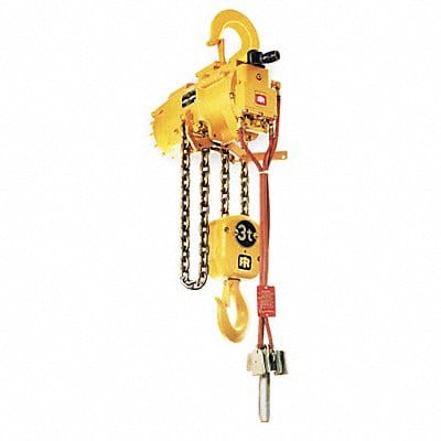 Air Chain Hoist 6600 lb Cap. 10 ft Lft