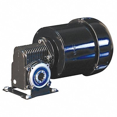 AC Gearmotor TEFC 124RPM 230V AC