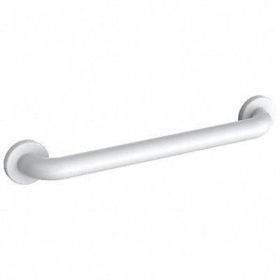 Grab Bar SS Painted 18 in L