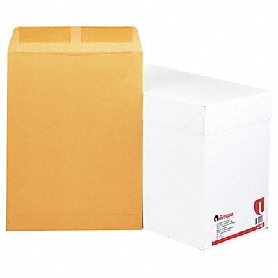 Multipurpose Envelopes 13 H 10 W PK250