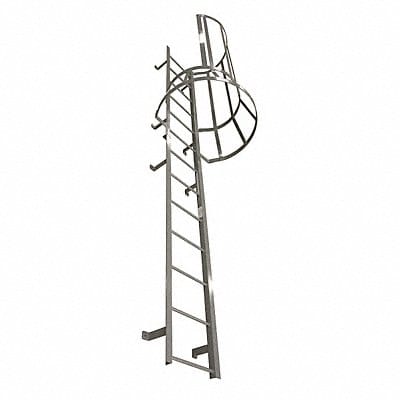 Fixed Ladder w/Safety Cage 13 ft 3 In H