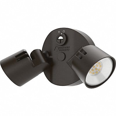 Security Floodlight