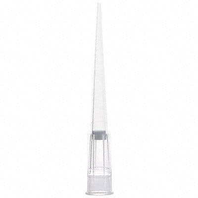 Filter Pipette Tip Polypropylene PK1920