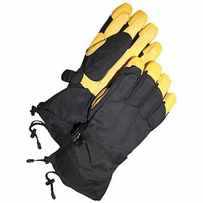 Ski Gloves L PR