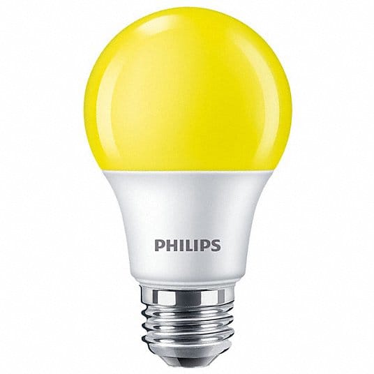 Compact LED Light Bulbs and Lamps