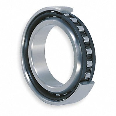 Cylindrical Roller Bearing 31/32 Bore