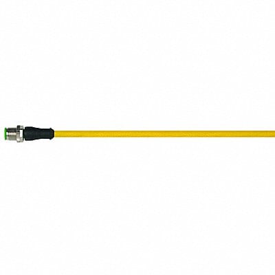 Cordset Straight M12 Yellow 22 AWG 4A