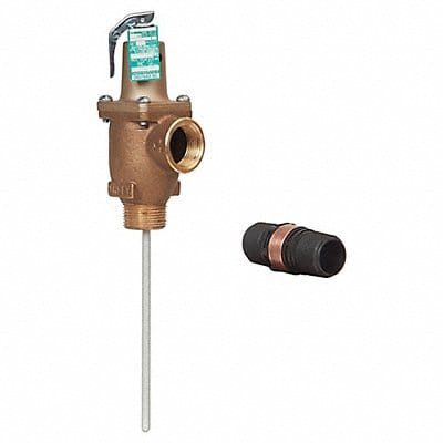 Temperature and Pressure Relief Valve