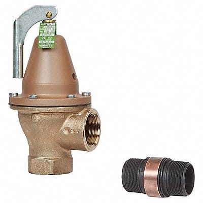 Temperature and Pressure Relief Valve