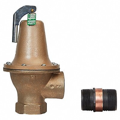 Temperature and Pressure Relief Valve