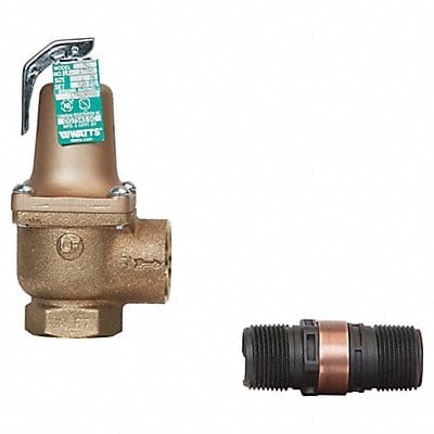 Temperature and Pressure Relief Valve