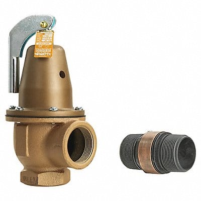 Temperature and Pressure Relief Valve