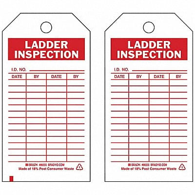 Lad Inspection Tag 5-3/4 x 3 In PK10