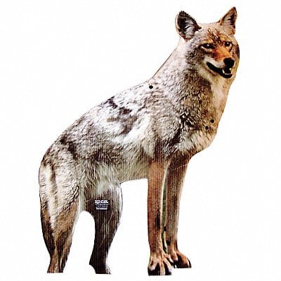 Coyote Decoy 20 in H Brown/White