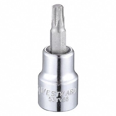 Socket Bit Steel 3/8 in TpSz T30