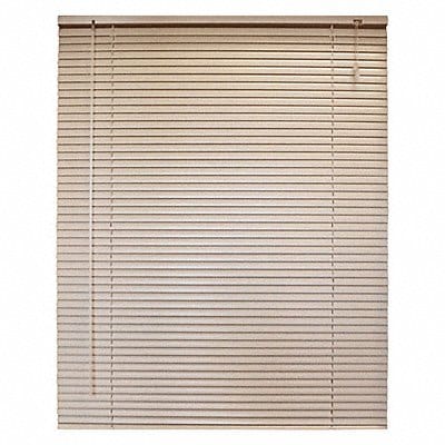 Mini Blinds Beige 48 in L 46 in W