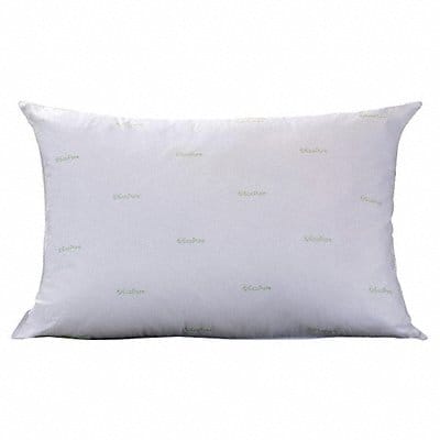 Pillow Jumbo 20x28 in Pk10