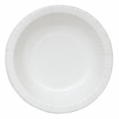 Disposable Paper Plate 10 in White PK250