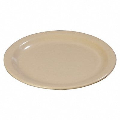 Dinner Plate 10 1/4 Dia Tan PK48