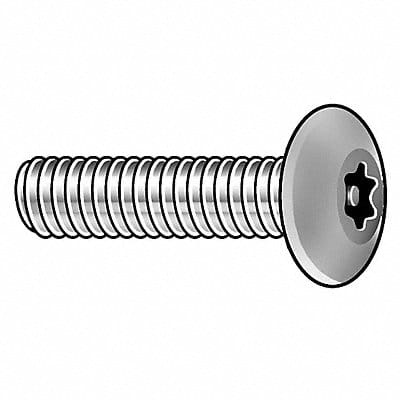 Tamper Resistant Screw 3/4 L 10PK