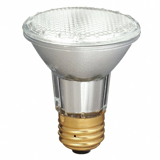 Halogen Light Bulbs and Lamps