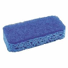 Sponges and Scouring Pads