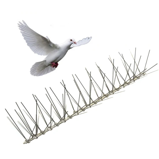 Bird Spikes